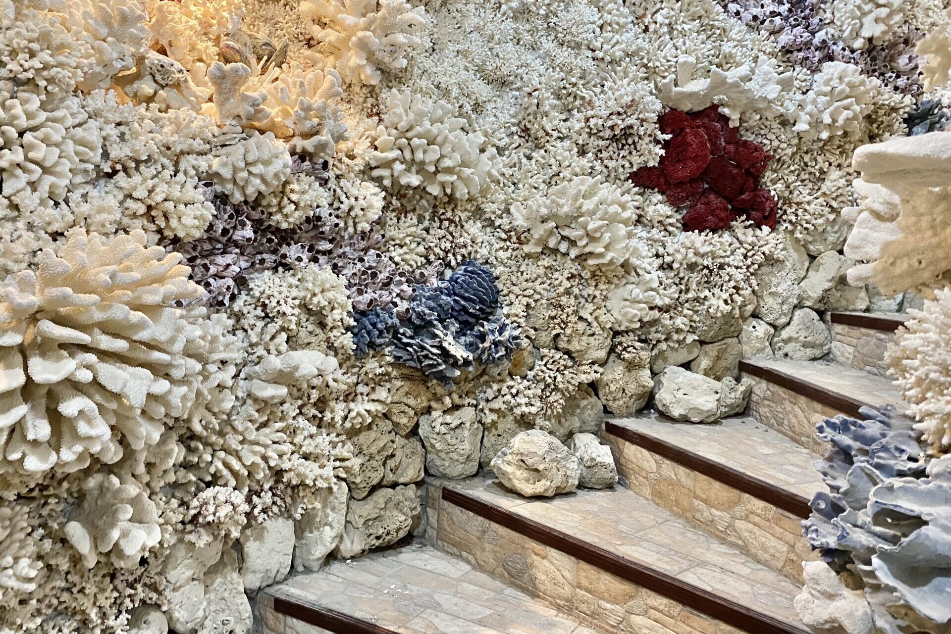 珊瑚と貝殻でできた通路（階段）
