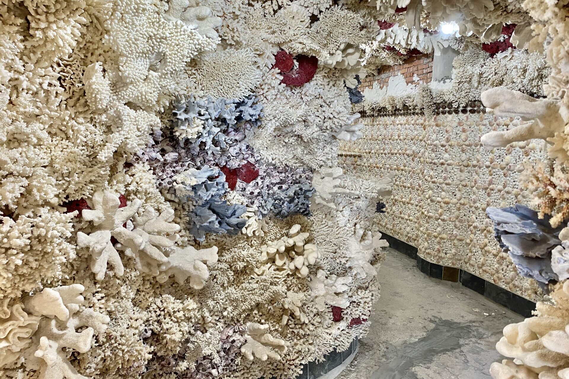 珊瑚と貝殻でできた通路