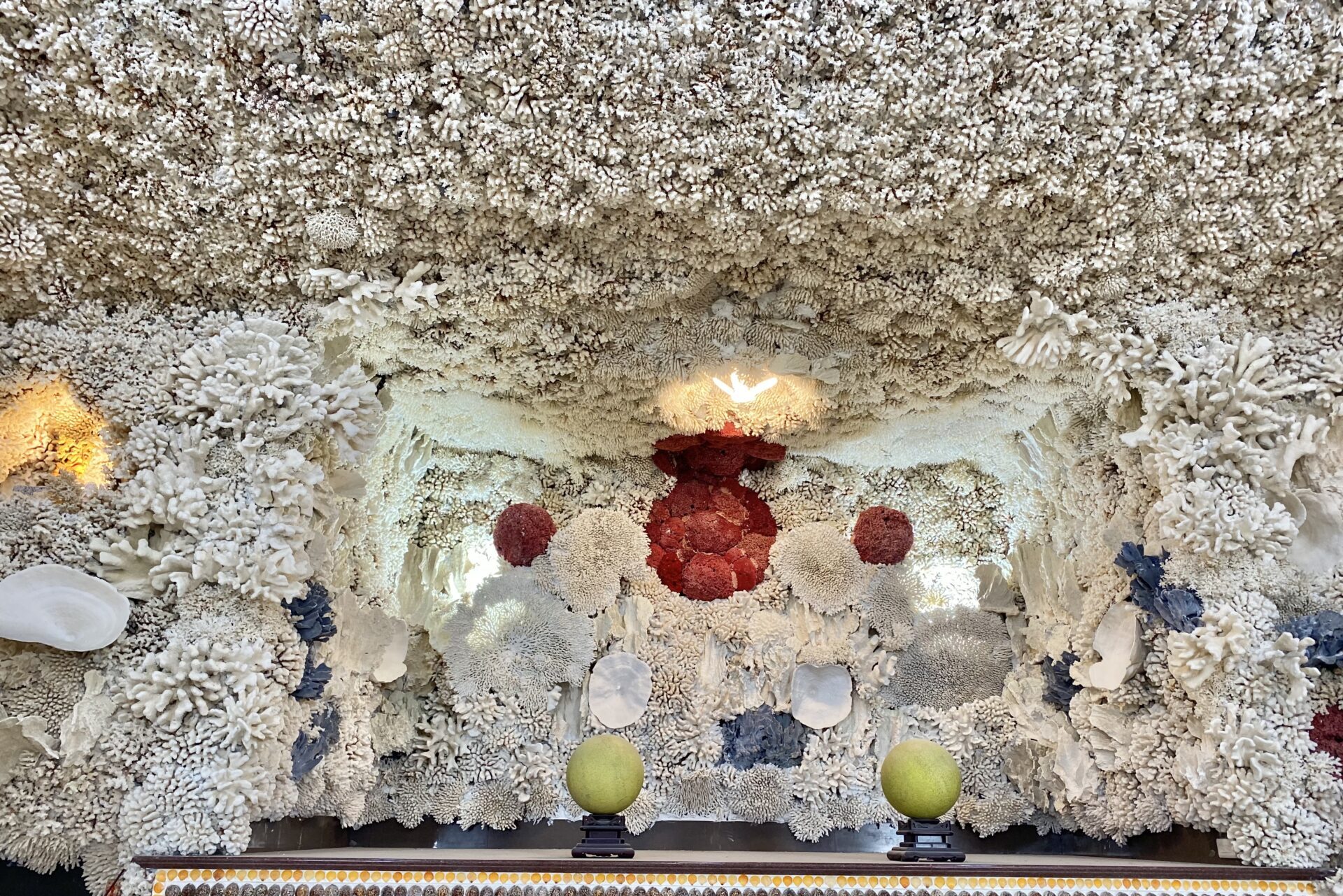 珊瑚と貝殻でできた天井